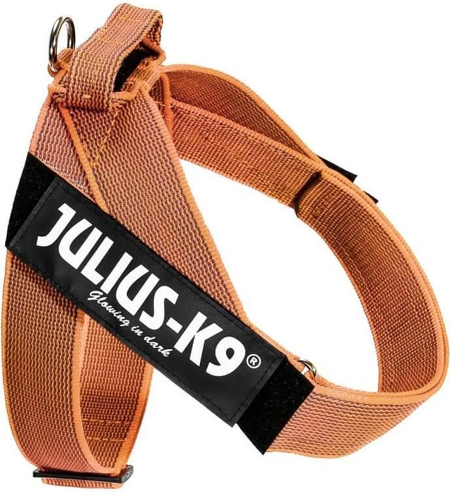 Julius K9 IDC Color & Gray Beltgeschirr L, orange