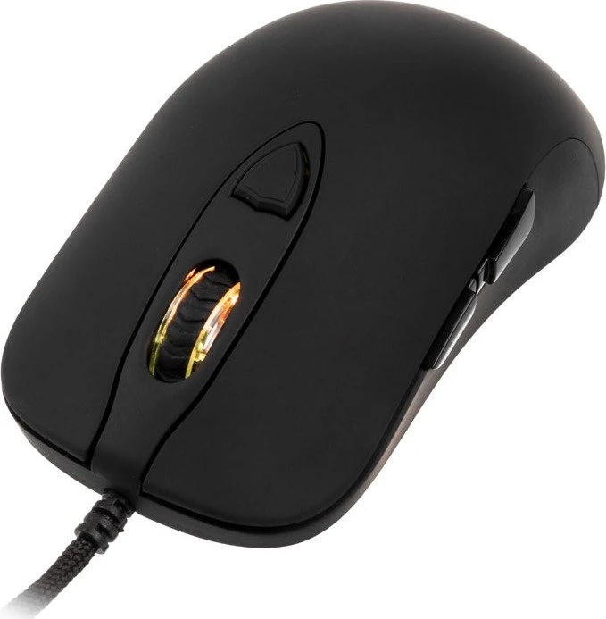 Dream Machines DM1 FPS Raven Black, grau, USB