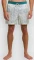 Billabong Vacay Layback Badeshorts (Herren) Vorschaubild