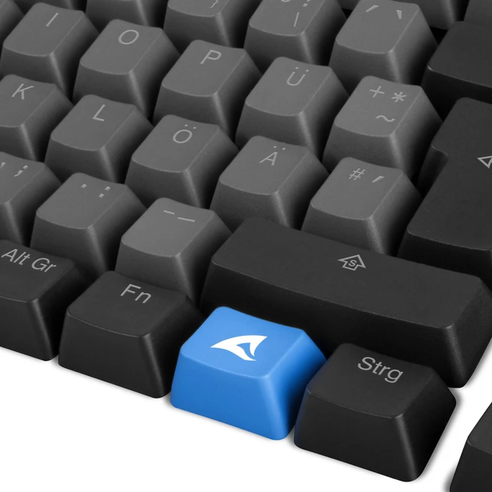 Sharkoon Skiller SAC20 Keycap Set, Kunststoff (PBT) Double-Shot, schwarz/grau, 115 Tasten (105+10), ISO-DE