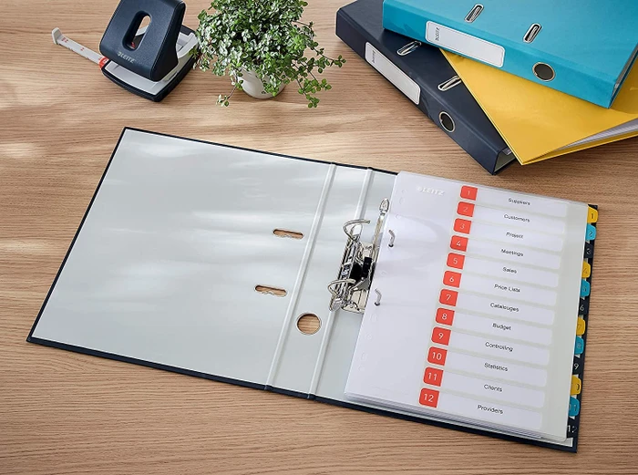 Leitz Qualitäts Ordner 2-Ring 180° Cosy Soft-Touch, 50mm, A4, grau