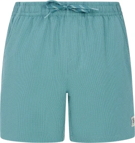 Protest Wytona Badeshorts arctic green (Herren)