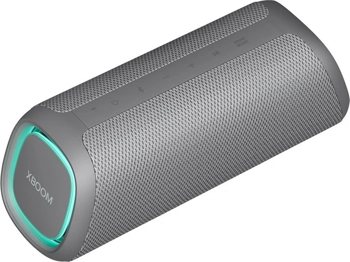 LG XBoom Go DXGQ7 grau