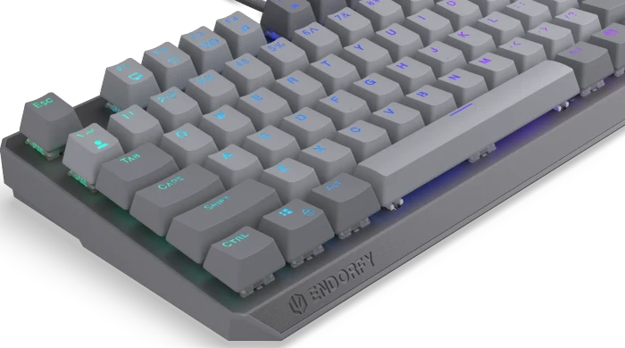 Endorfy Thock V2 TKL, PBT, grau, LEDs RGB, hot-swap, Endorfy RED, USB, US