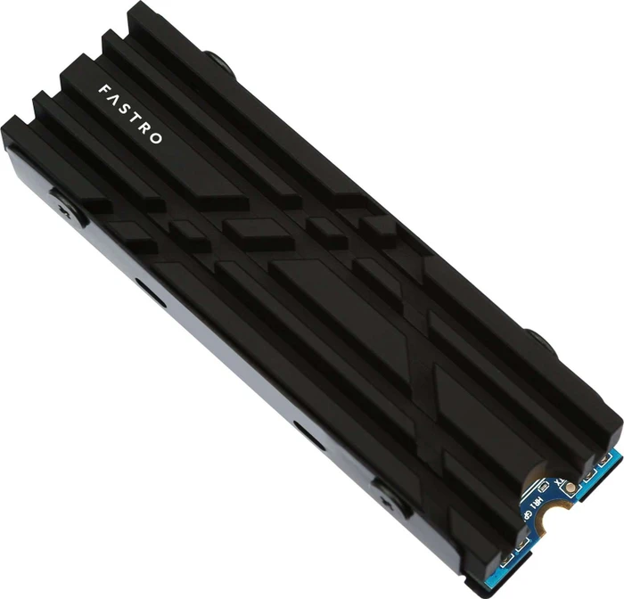 MEGA Electronics Fastro MS300 SSD, M.2