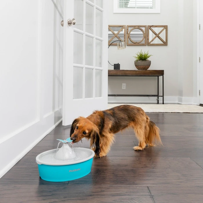 PetSafe Drinkwell Butterfly Trinkbrunnen, 1.5l