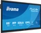 iiyama ProLite TE6515A-B2AG, 64.5" Vorschaubild