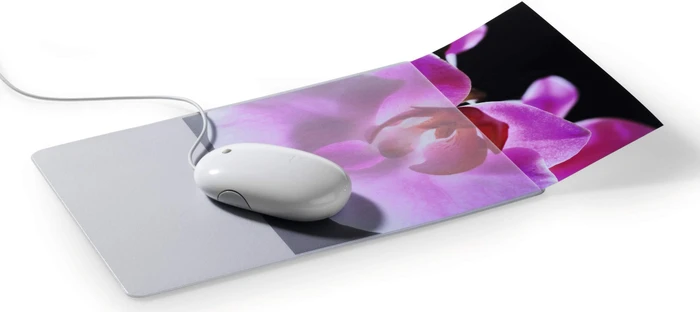 Durable Mousepad Plus, grau/transparent (574719) – Bild 3 von 5