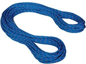 Mammut Crag Dry Einfachseil 9.5mm blue/ocean