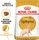 Royal Canin Sphynx Adult, 10kg