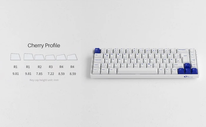 Akko 3068B Plus, Blue on White, LEDs RGB, CS Jelly PURPLE, USB/Bluetooth, DE