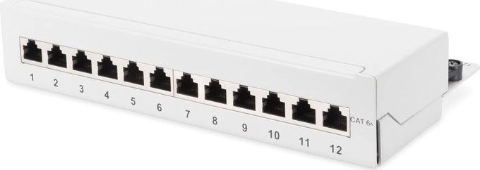 Digitus Professional Patchpanel Cat6a, grau, 12-Port