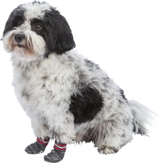 Trixie Hundesocken XXS-XS, 2 Stück