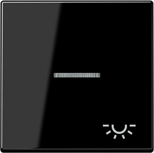 Jung Serie A Wippe mit Symbol Licht, schwarz
