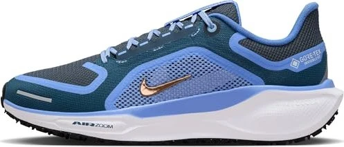 Nike Pegasus 41 Gore-Tex (Damen)