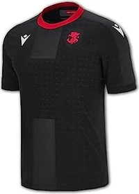 Macron UEFA EURO 2024 Georgien Auswärtstrikot (Herren)
