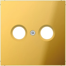 Jung GO 2990 TV Abdeckung f. 2-Loch SAT-TV-Dose goldfarben