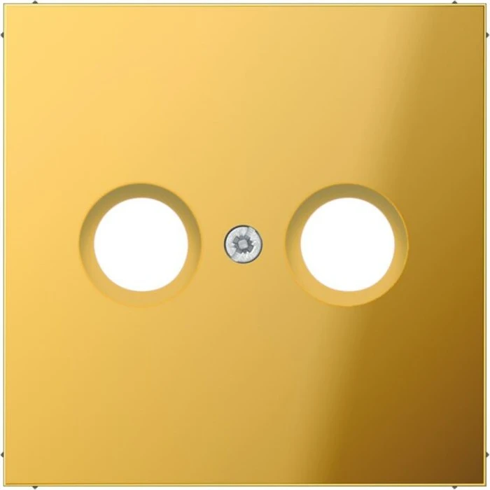 Jung GO 2990 TV Abdeckung f. 2-Loch SAT-TV-Dose goldfarben