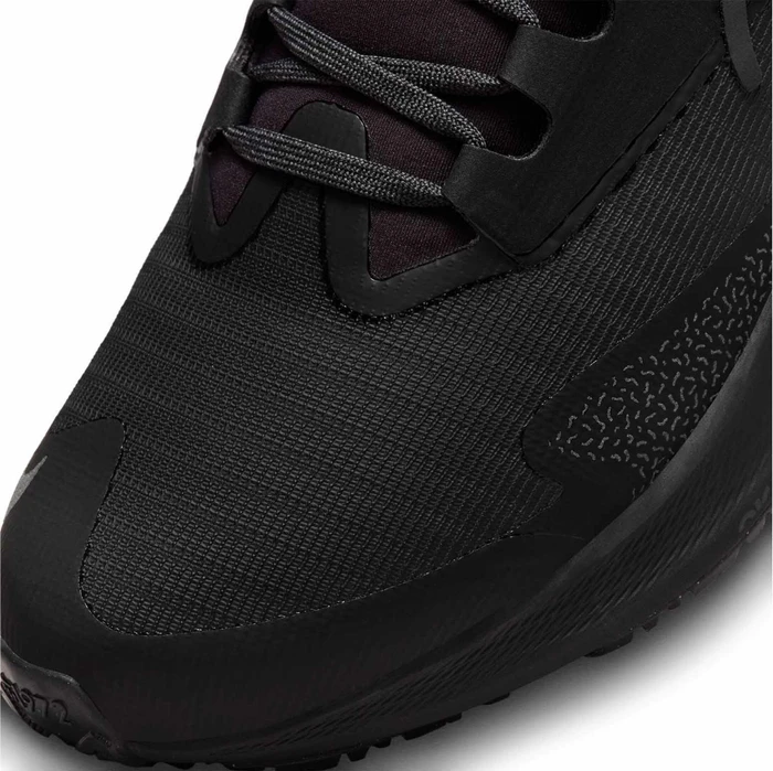 Nike Air Zoom Pegasus 39 Shield black/off noir/dark smoke grey (Damen)