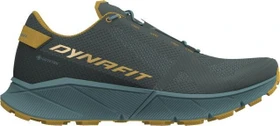Dynafit Ultra 100 GTX lichen/atlantic (Herren)