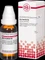 DHU Asa Foetida Dilution, 20ml Vorschaubild