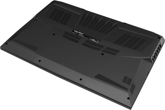 Schenker XMG Core 17-E21 Intel, Core i7-10870H, 8GB RAM, 250GB SSD, GeForce RTX 3060, DE