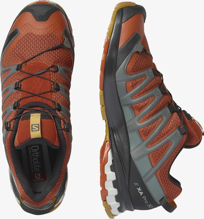 Salomon XA Pro 3D V8 rooibos tea/black/cumin (Herren)