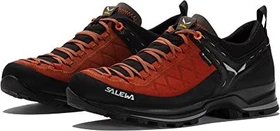 Salewa Mountain Trainer 2 GTX autumnal/black (Herren)