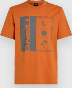 O'Neill Front Print T-Shirt kurzarm cinnamon stick (Herren)