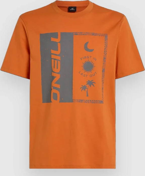 O'Neill Front Print T-Shirt kurzarm cinnamon stick (Herren)