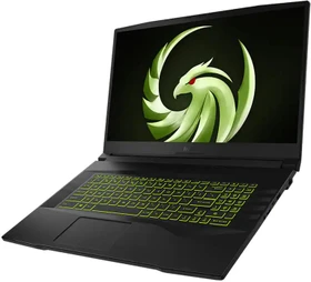 MSI Alpha 17 AMD Advantage Edition B5EEK-002, Ryzen 7 5800H, 16GB RAM, 512GB SSD, Radeon RX 6600M, DE