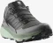 Salomon Thundercross asphalt/sharkskin/spray (Herren) Vorschaubild