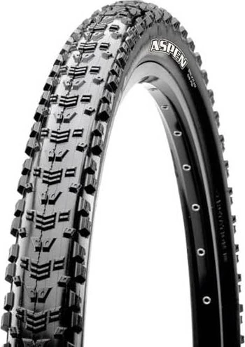 Maxxis Aspen 29x2.1" TR Dual + EXO Reifen