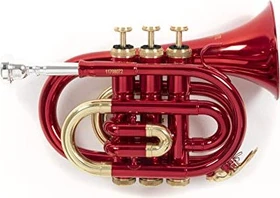 Roy Benson Bb-Taschentrompete PT-101R
