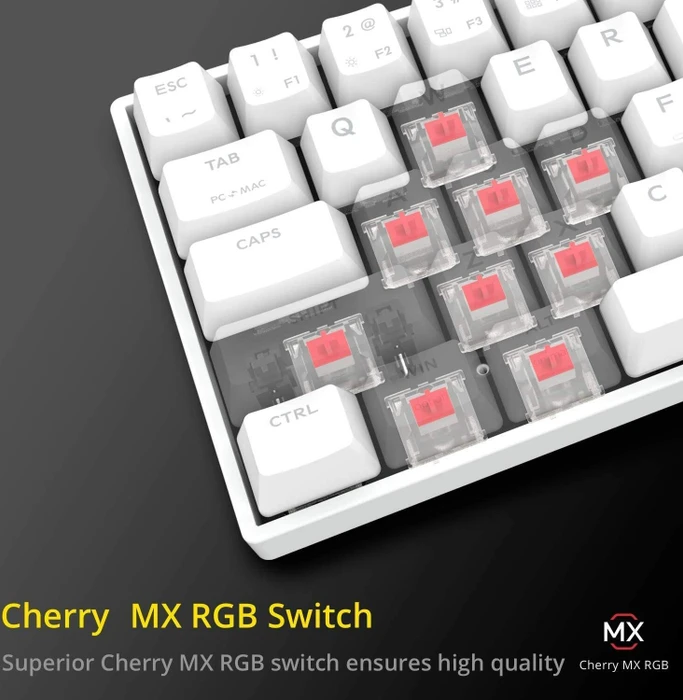 Drevo Calibur V2 TE PC/Mac, LEDs RGB, weiß, MX RGB RED, USB, DE