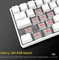 Drevo Calibur V2 TE PC/Mac, LEDs RGB, weiß, MX RGB RED, USB, DE Vorschaubild