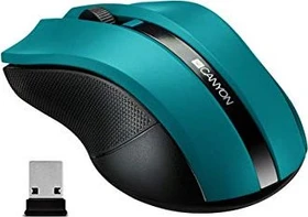 Canyon MW-5 Wireless Mouse grün, USB (CNE-CMSW05G)