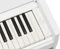 Yamaha Arius YDP-S56 weiß Vorschaubild