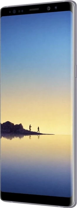Samsung Galaxy Note 8 N950F grau