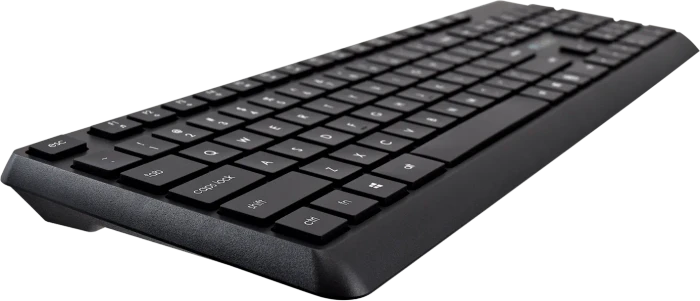 V7 CKW350 Professional Wireless Tastatur und Maus Set, USB, US