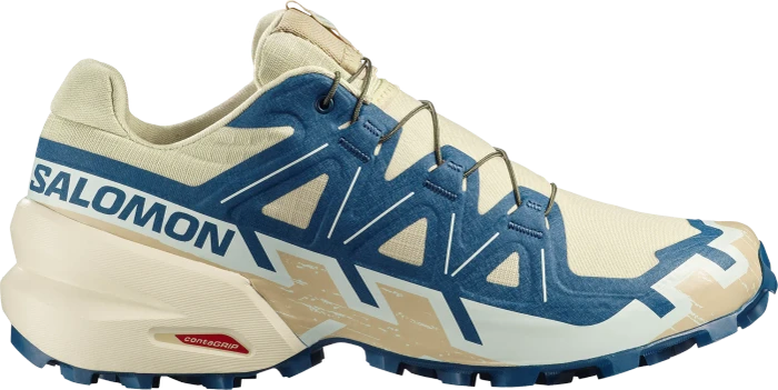 Salomon XA Pro 3D V9 dark gull gray/cloudburst/asphalt (Herren)