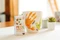Kreul Mucki Porzellan-Fingerfarbe, orange/grün, 50ml, 2er-Set Vorschaubild