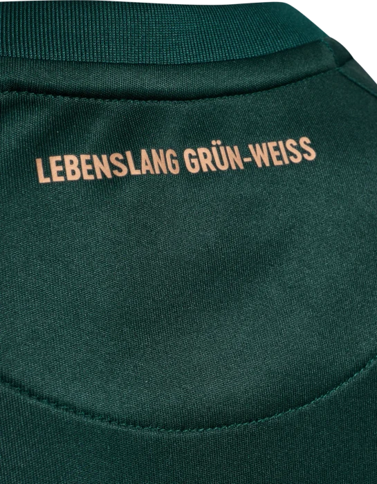 hummel SV Werder Bremen 2025/2026 Ausweichtrikot (Junior)