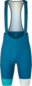 Endura Loop Bib Short Fahrradhose kurz barra blue (Herren)