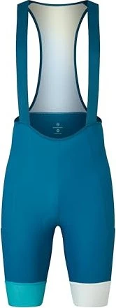 Endura Loop Bib Short Fahrradhose kurz barra blue (Herren)