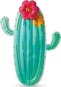 Intex Cactus Luftmatratze
