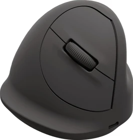 Fellowes Breyta Vertical Mouse, medium, schwarz, USB/Bluetooth (100143579)
