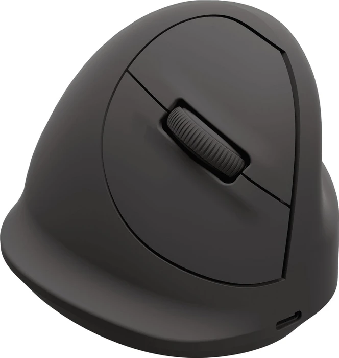 Fellowes Breyta Vertical Mouse, medium, schwarz, USB/Bluetooth