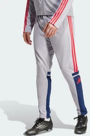 adidas Squadra 25 Trainingshose lang glory grey/team navy blue 2/pure ruby (Herren)