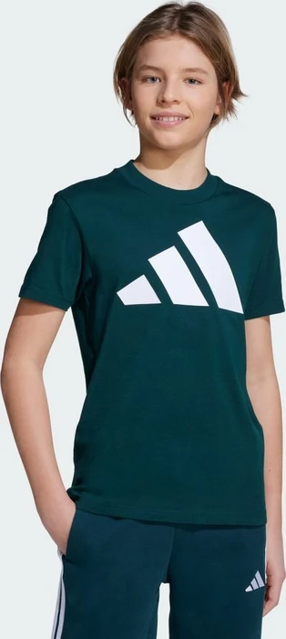 adidas Essentials T-Shirt kurzarm aurora ivy/white (Junior)